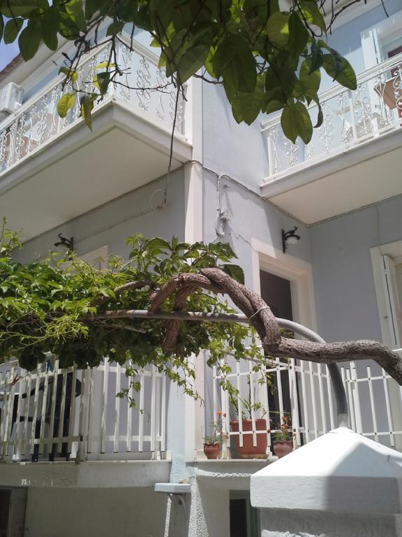 Apartment Patra