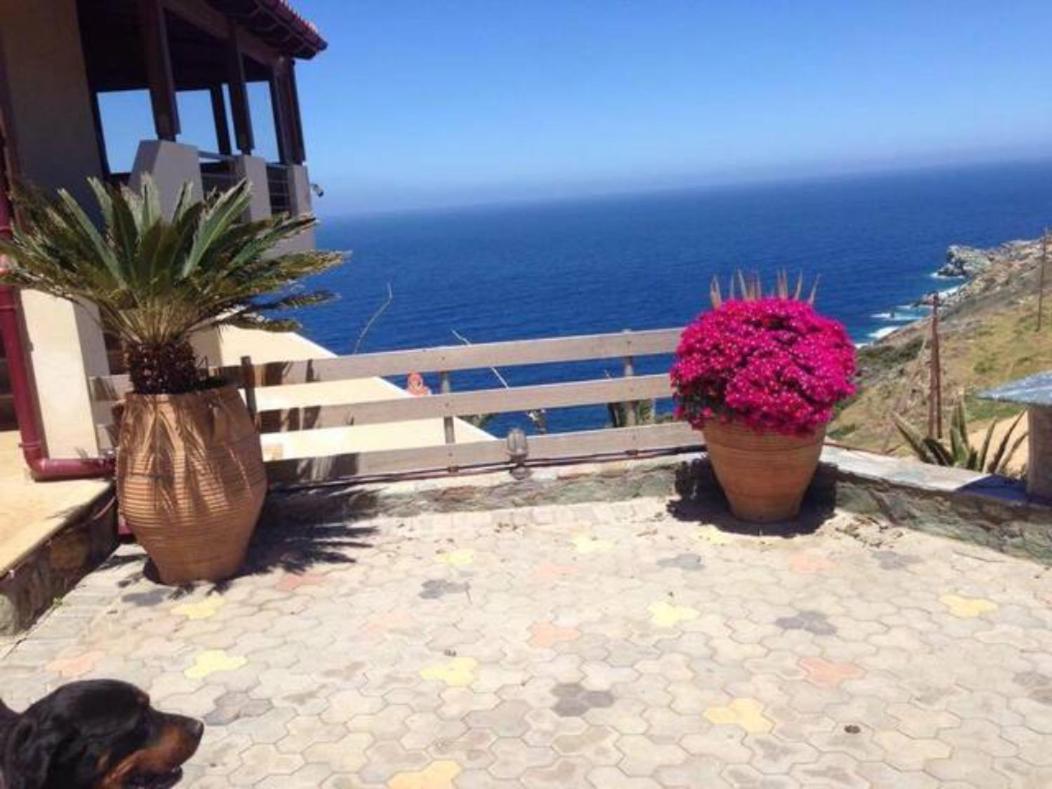 Vitamin Sea Luxury *