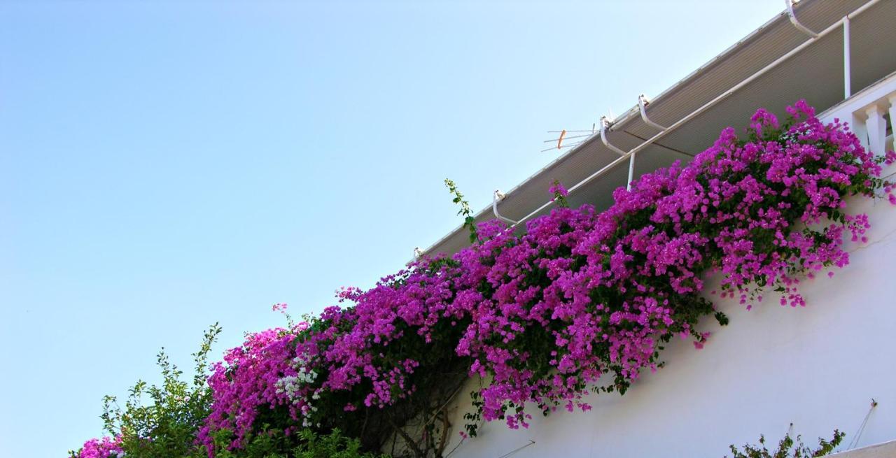 Panoramic Views In Hydra, Greece * Hydra (Saronic Islands)