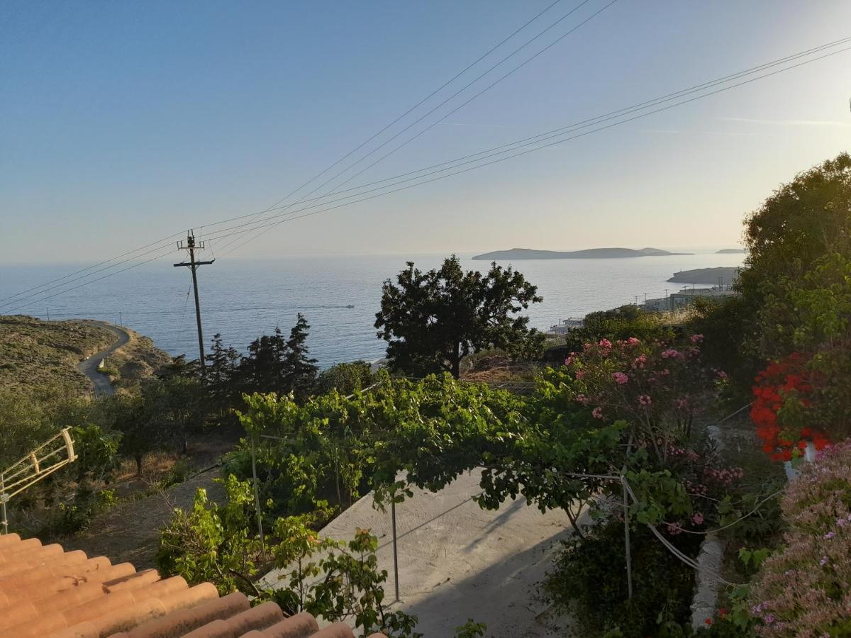 Silver View * Batsi (Andros)
