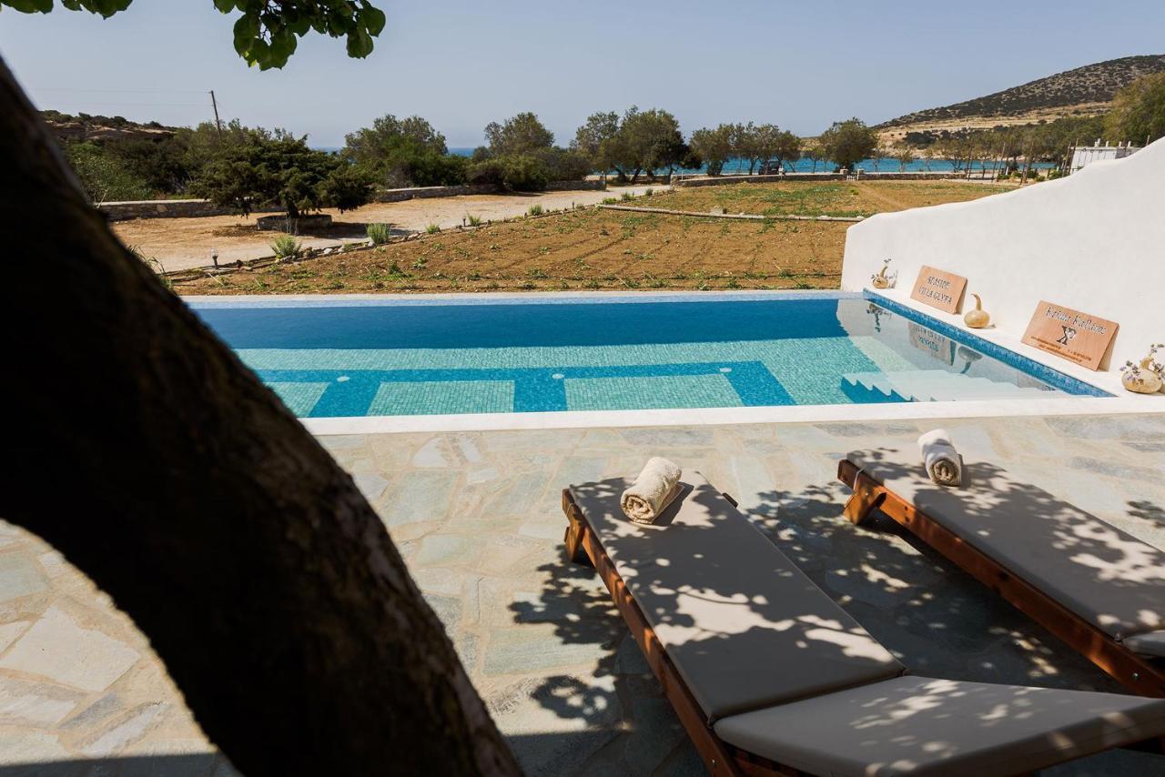 Villa Seaside Ktima Kaparos Paros