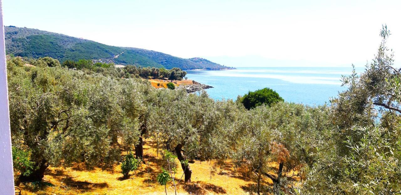 Aparthotel Leonidas Greecefiloxenia Lefokastro