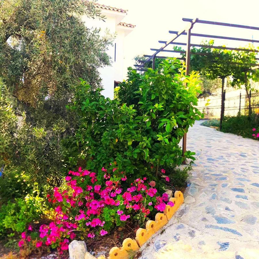 Aparthotel Leonidas Greecefiloxenia *