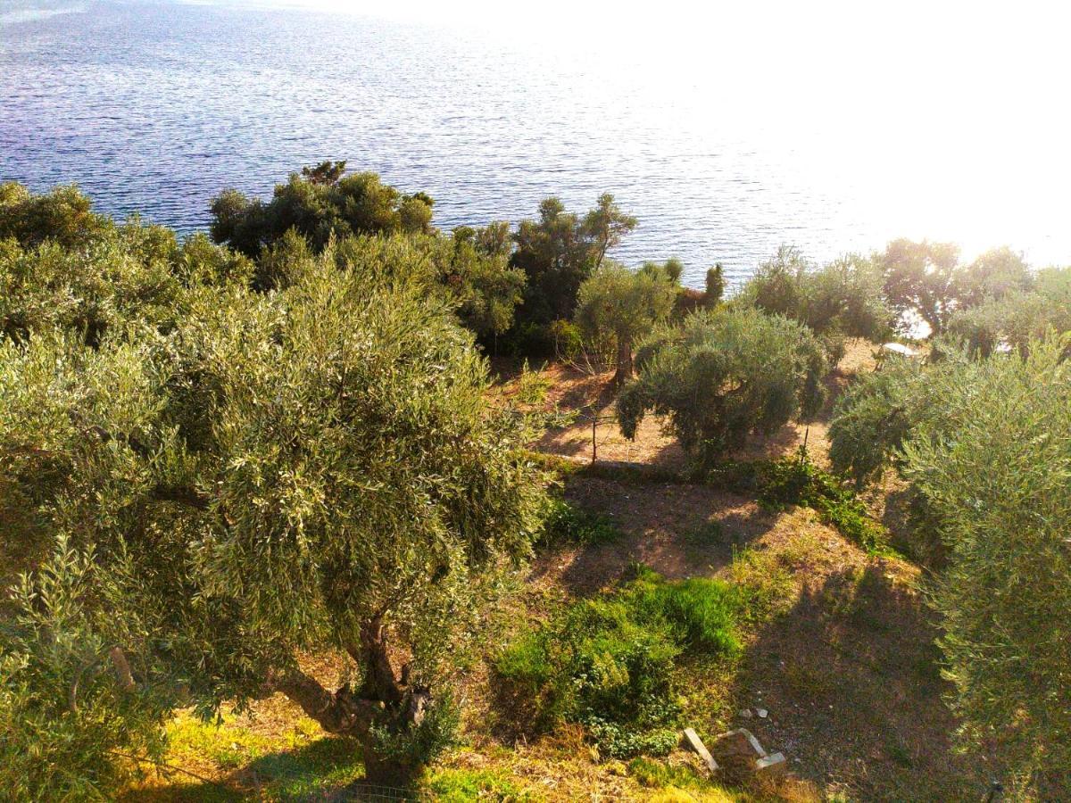 Leonidas Greecefiloxenia * Lefokastro