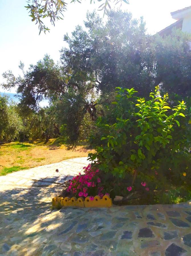 Leonidas Greecefiloxenia Aparthotel