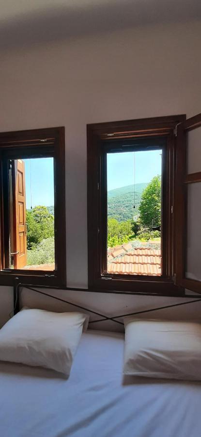 Nature Whispers Apartment Agios Dimitrios (Magnesia)