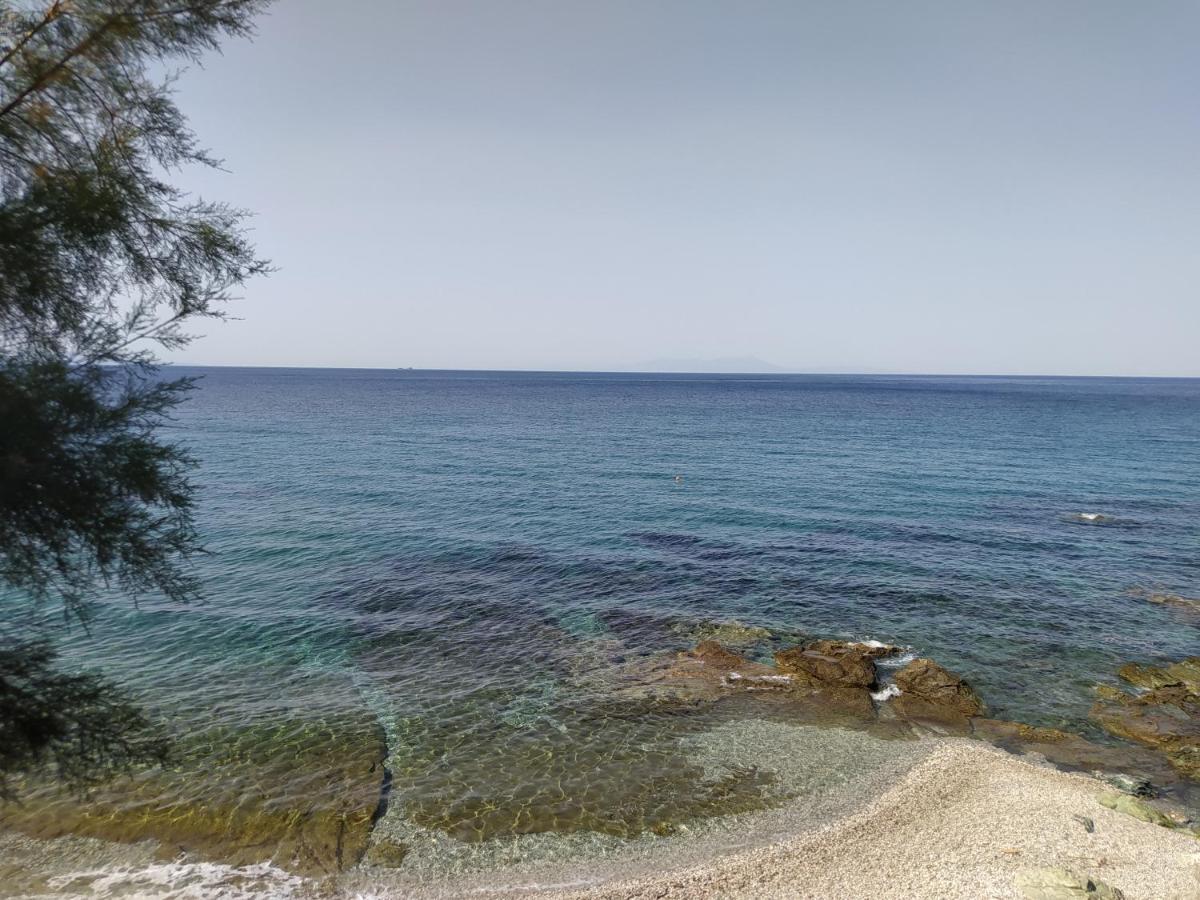 Als - Sea View