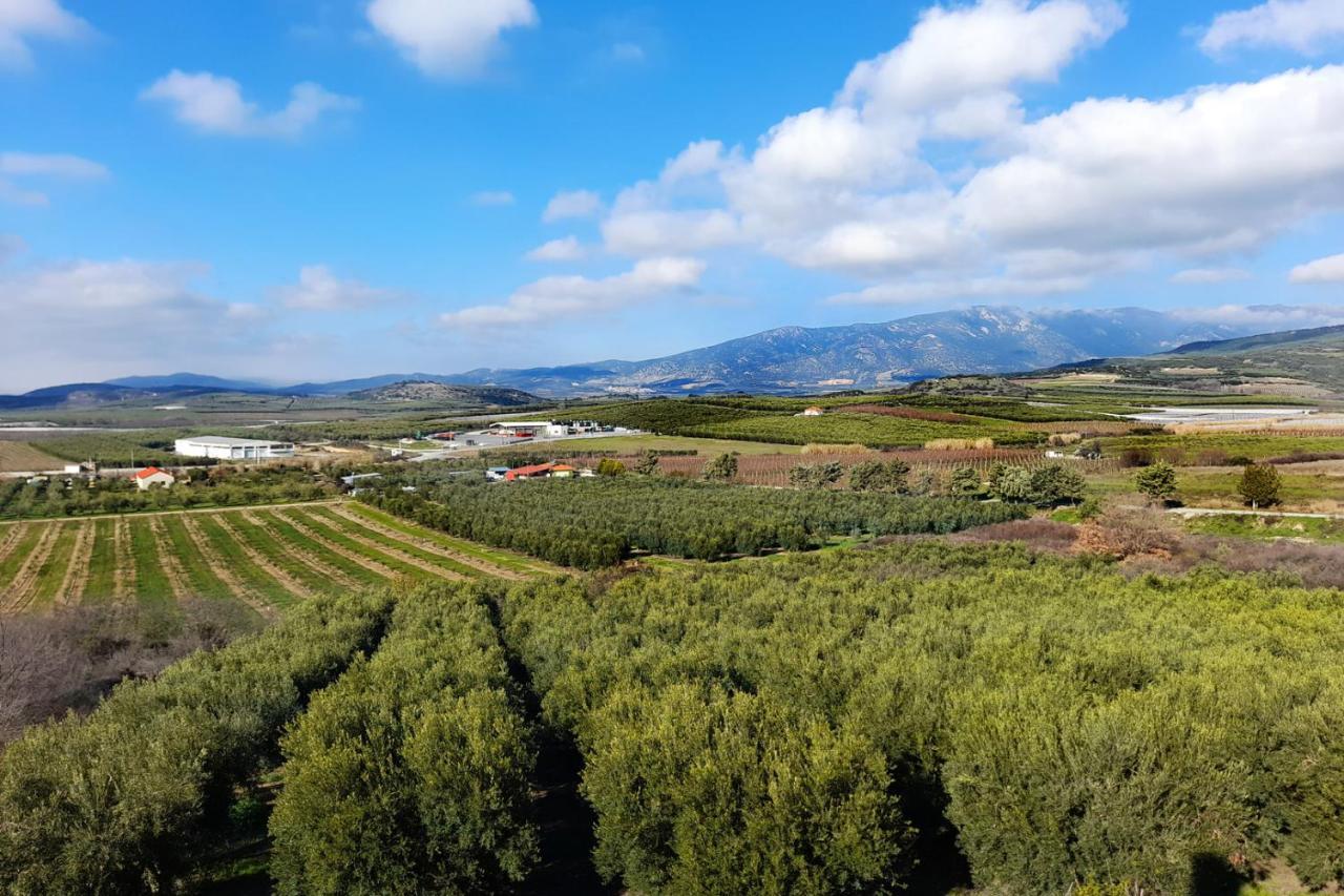 Holiday home Panoramico View