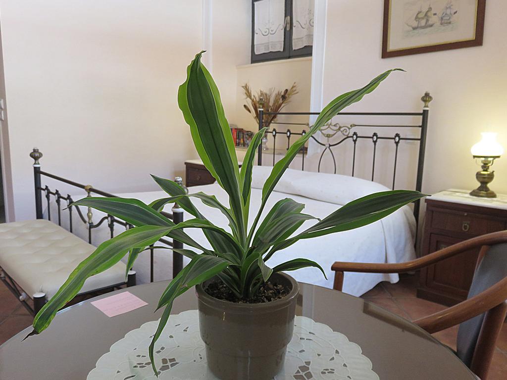Guest house Phaedra Hydra (Saronic Islands)