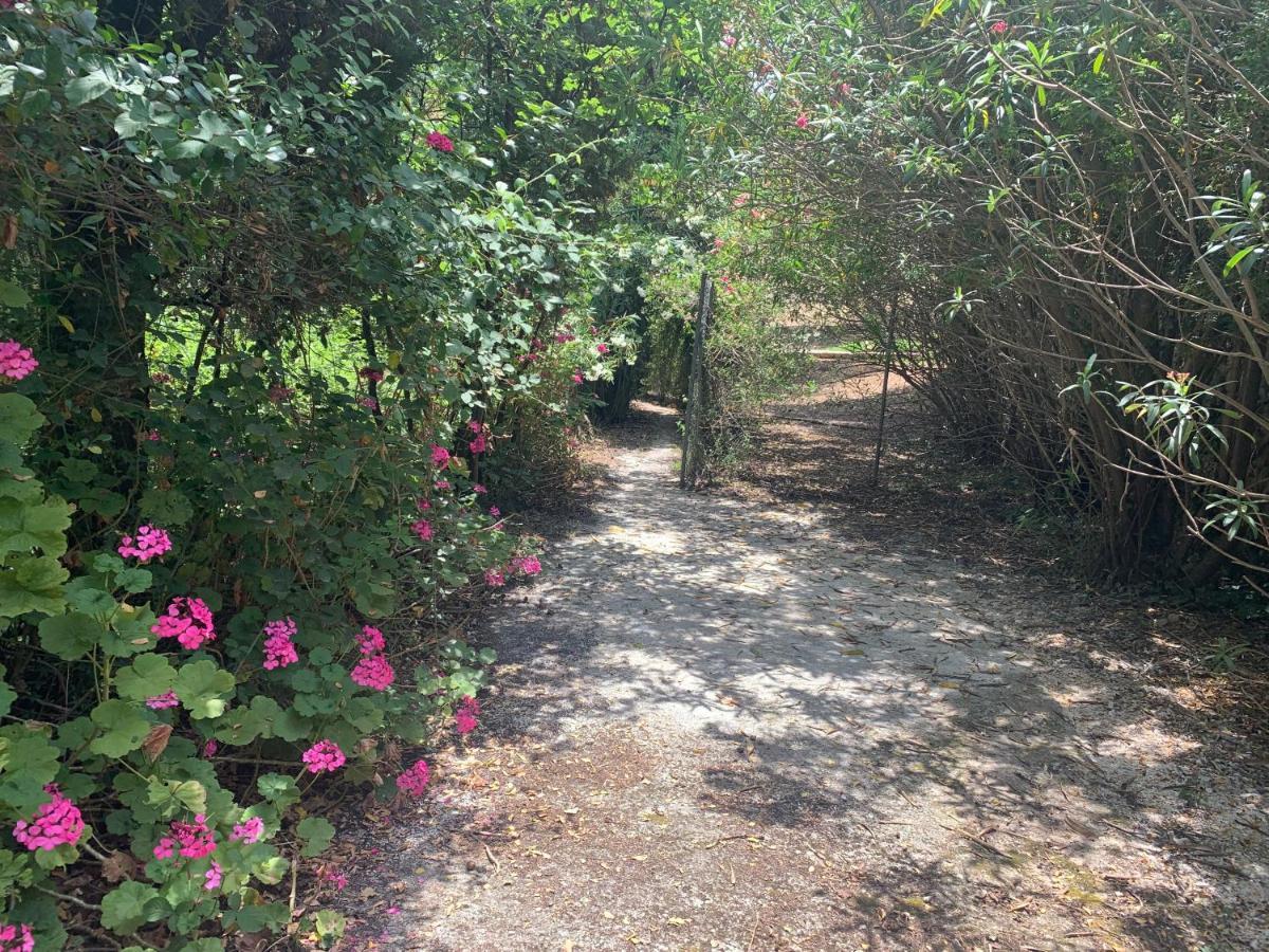 Melina Villa Nisaki (Corfu)