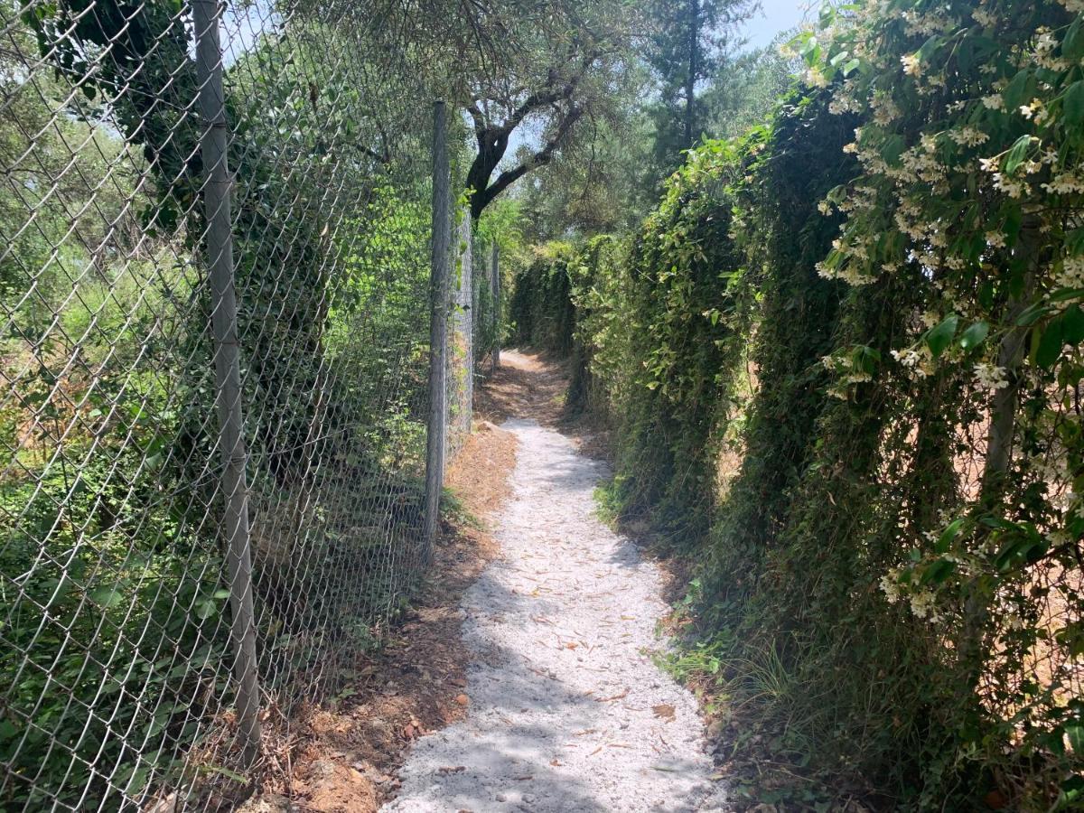 Melina * Nisaki (Corfu)