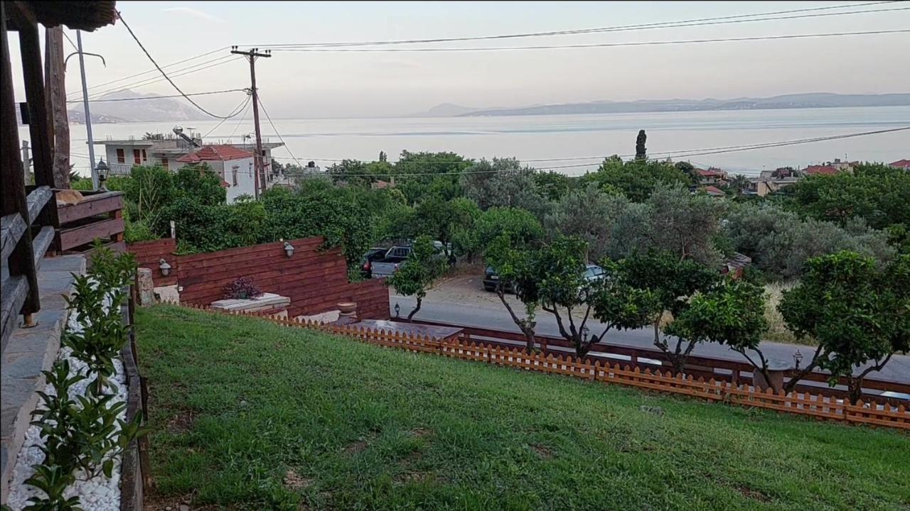 Apartment Vaggelio 1