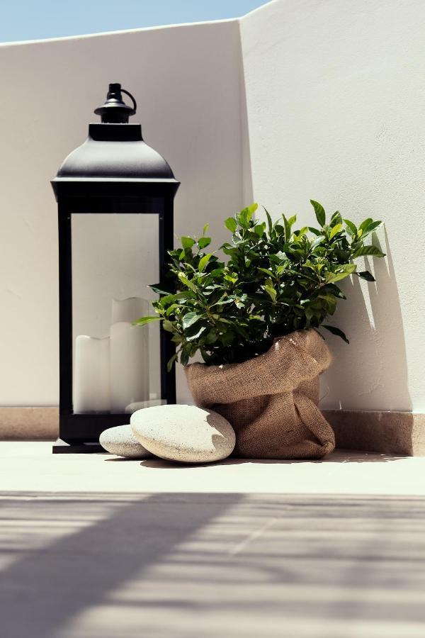 Apartment Shizen Serifos Town