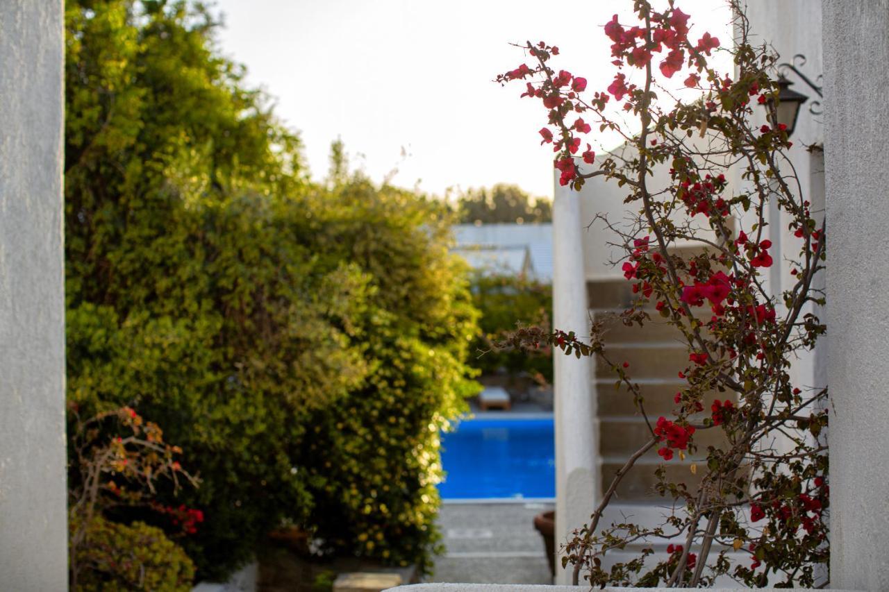 Aparthotel Andromeda 3*