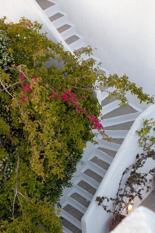 Andromeda Aparthotel Mykonos Town