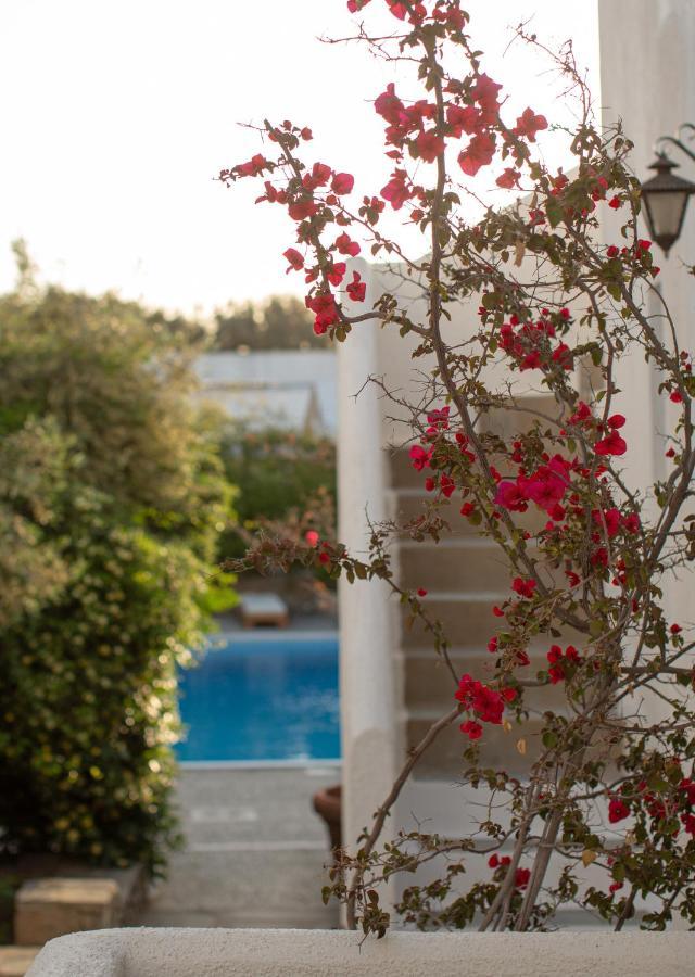 Aparthotel Andromeda 3*