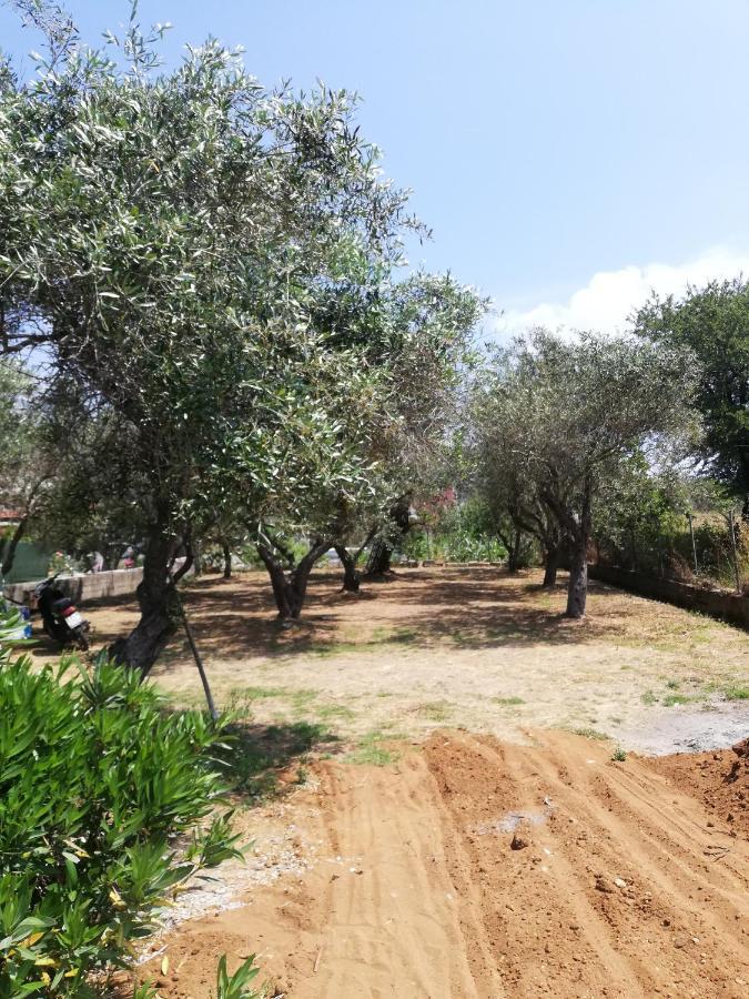 Apartment Anestis Agios Georgios (Corfu)