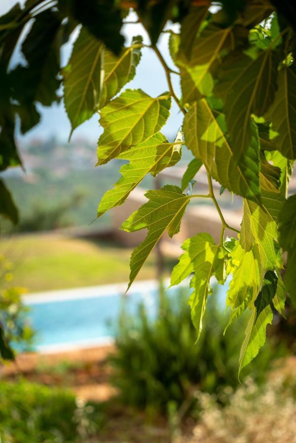 Villa Kika Residences *
