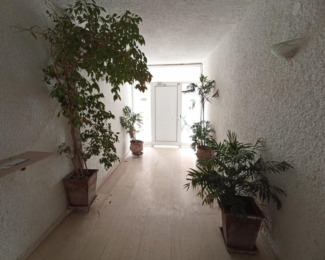 Tiny Penthouse, Big Terrace