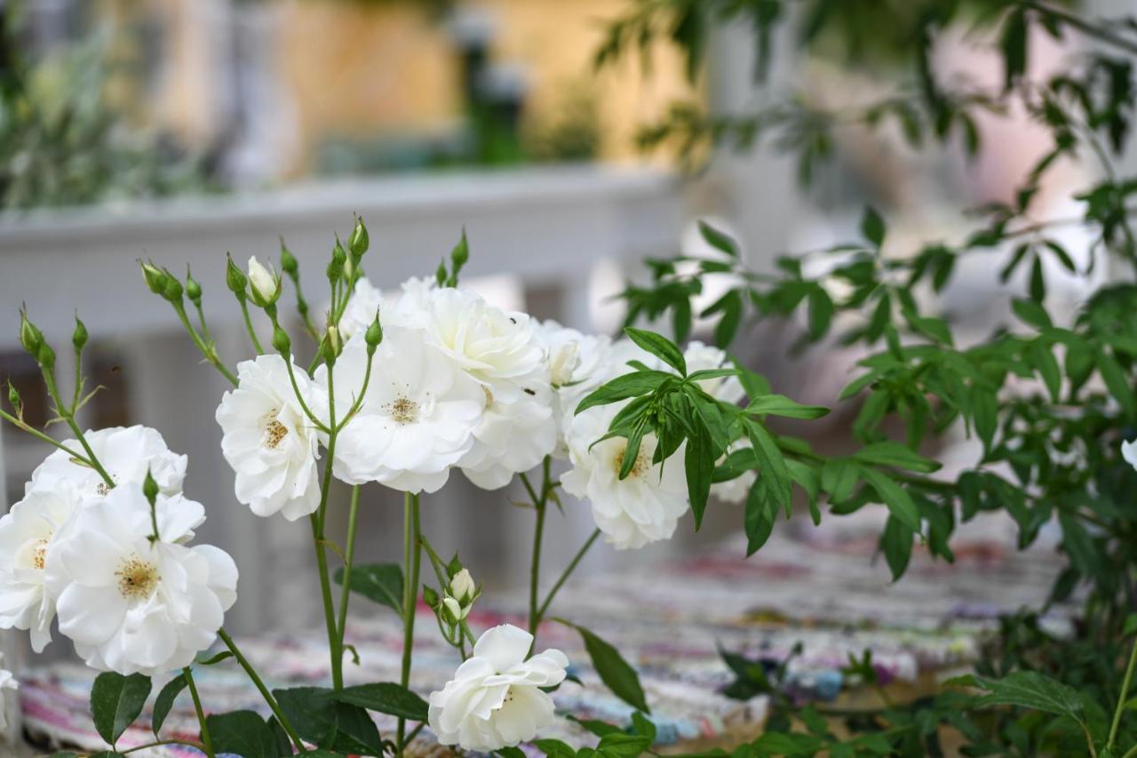 Therianos Traditional Farm stay Kallithea (Zakynthos)