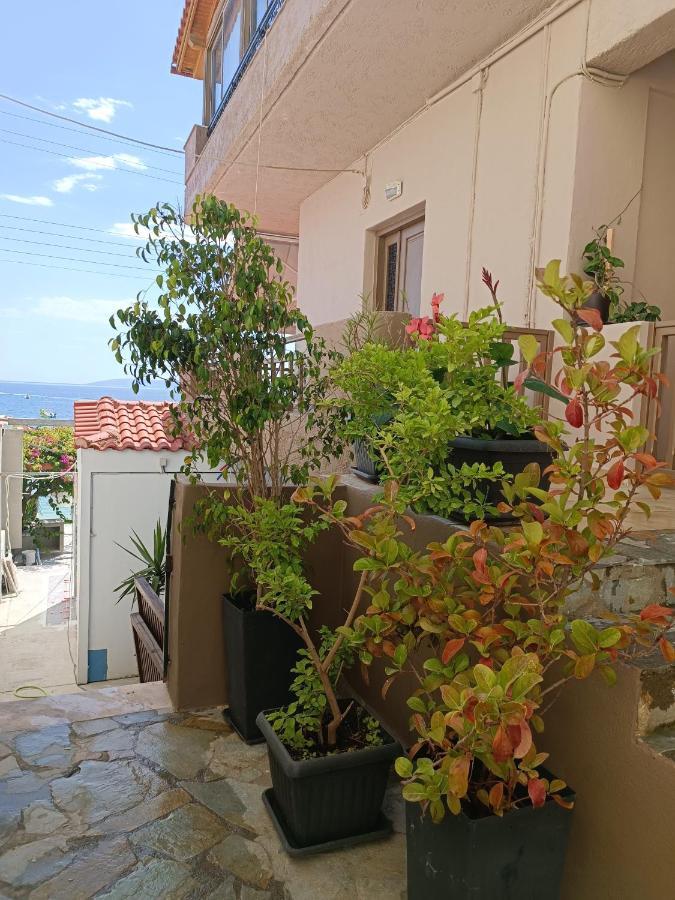 Buganvilla Sea View Apts Apartment