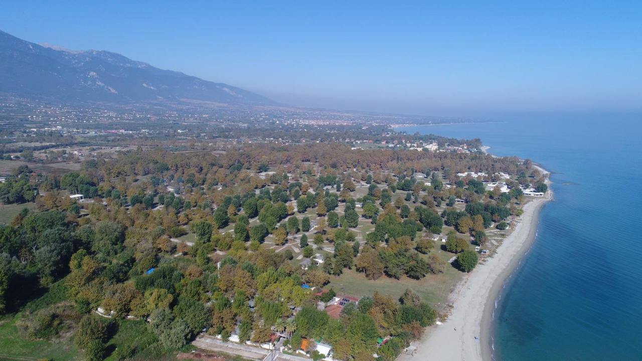 Apartment Sun Pieria