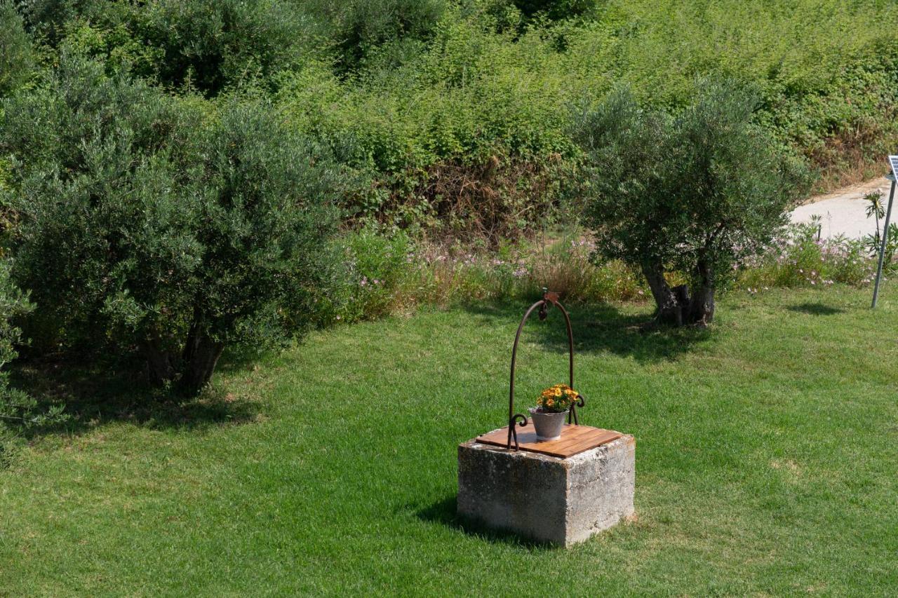 Apartment Casa Di Colona - μπεζ *