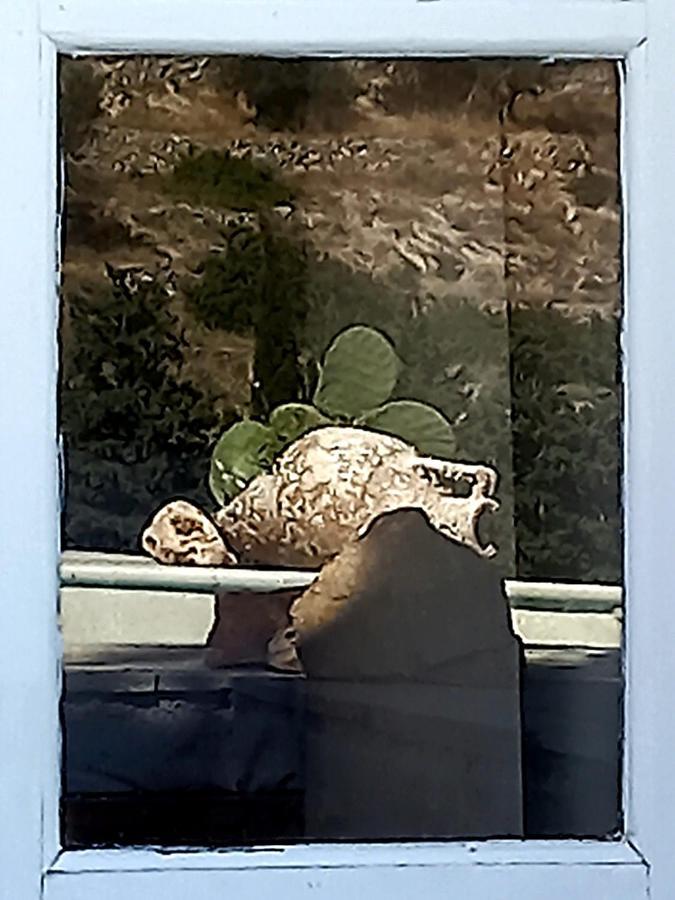 Red Rocks * Parikia (Paros)
