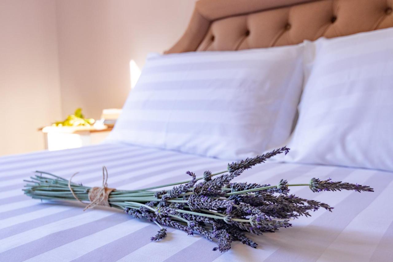 Pelagia Guest house *