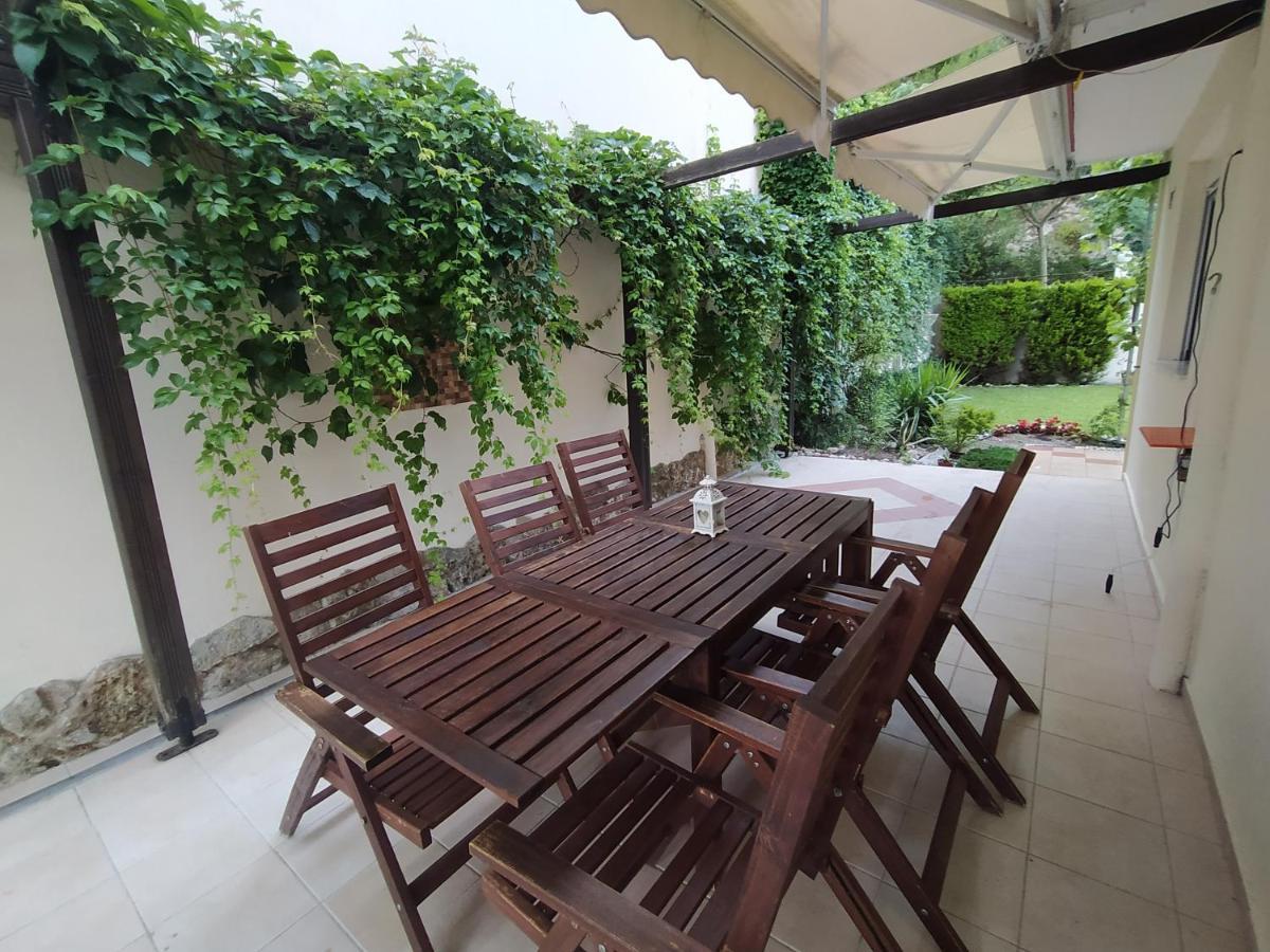 Detached House In A Quiet Place *