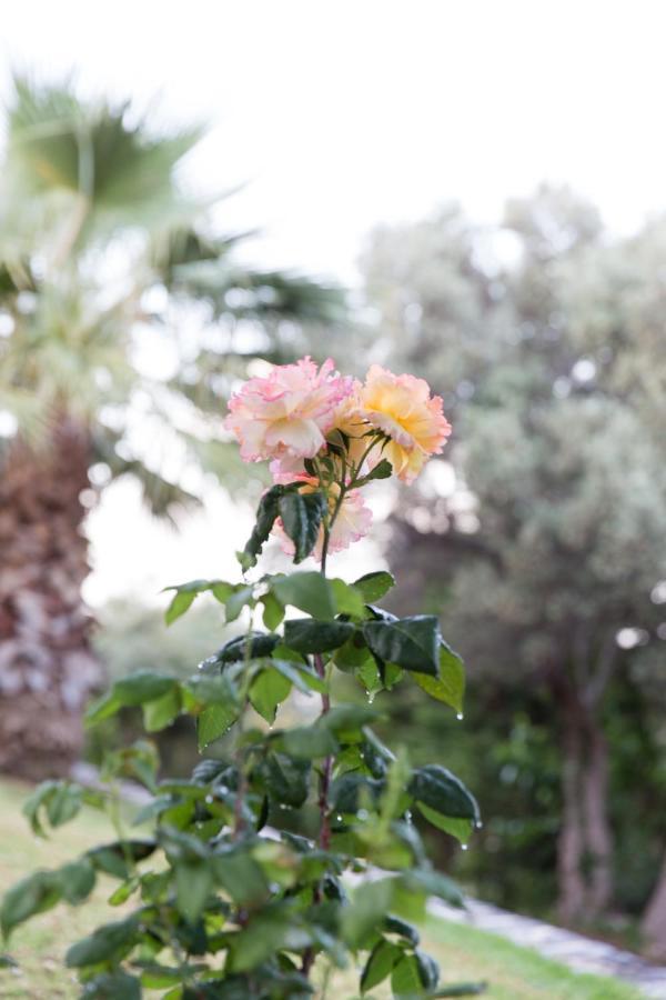 Villa Cretan Exclusive Agia Triada
