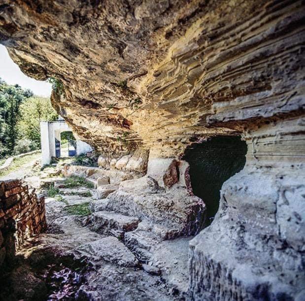 Thomas View * Argiroupolis