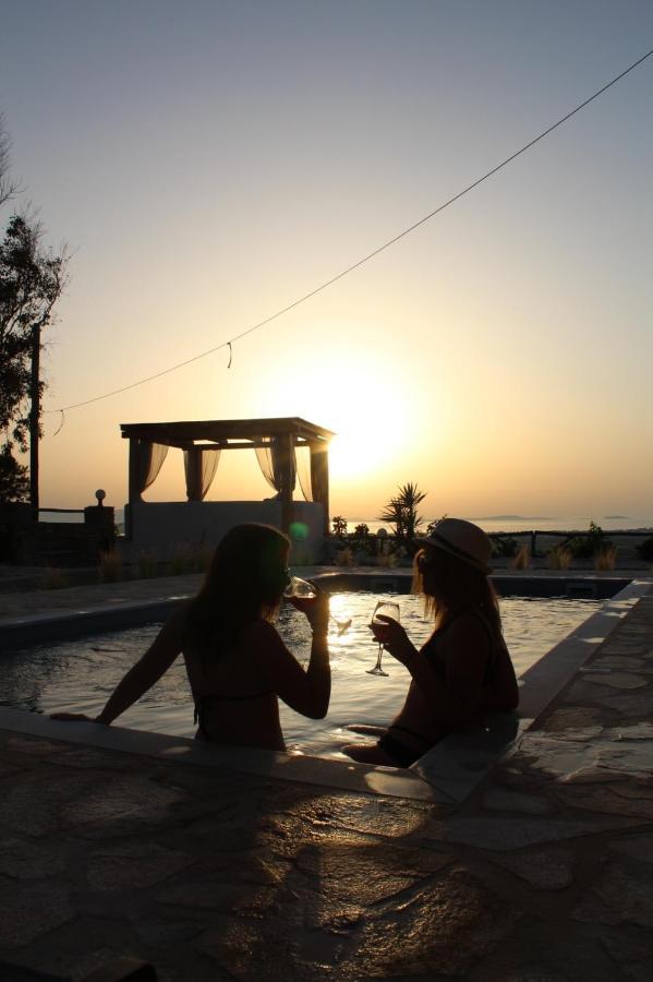 Janakos View With Private Pool Glinado Naxos
