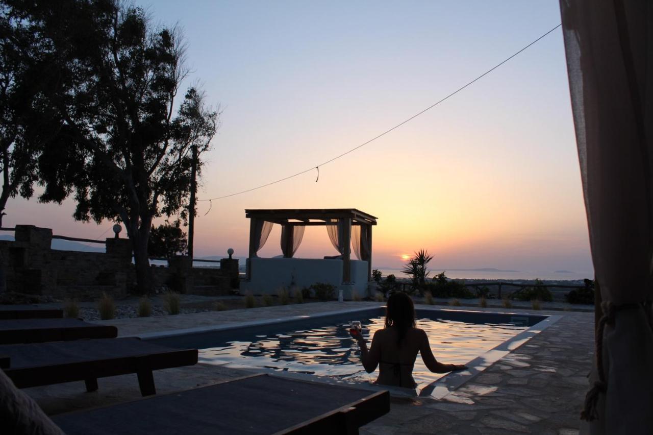 Janakos View With Private Pool Apartment *