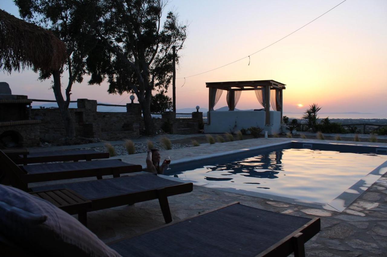 Janakos View With Private Pool Apartment