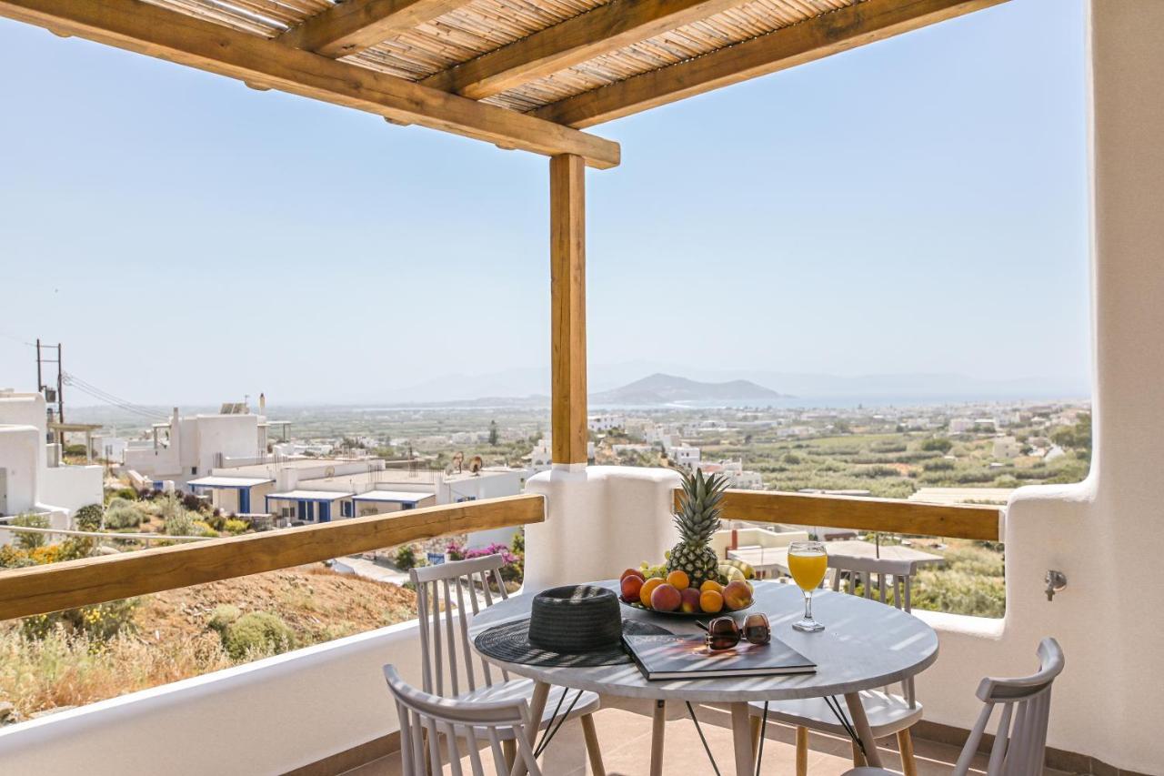 Naxos Pantheon Luxury Agkidia