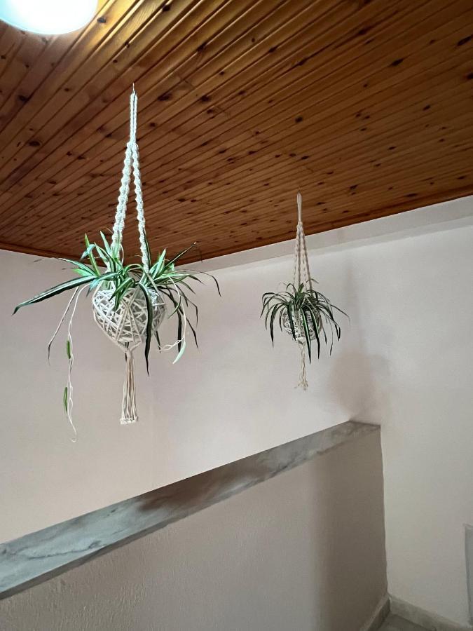 Apartment Vangelis