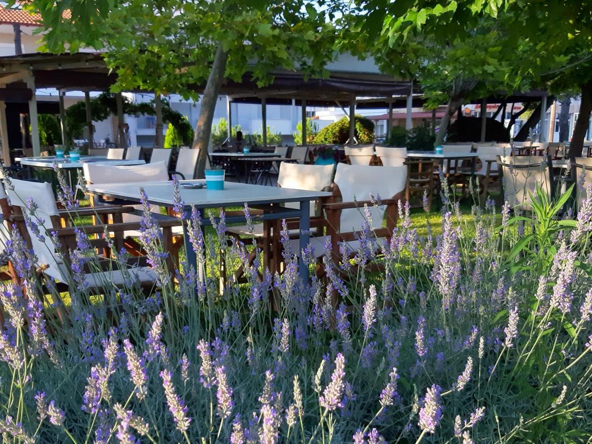 Apartment Kochyli Nea Plagia