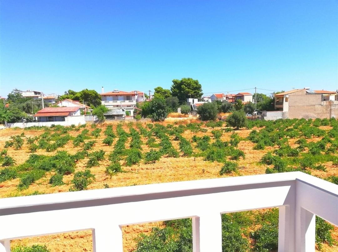Athens Artemis Pool Sea Airport Apartment Artemida (Attica)