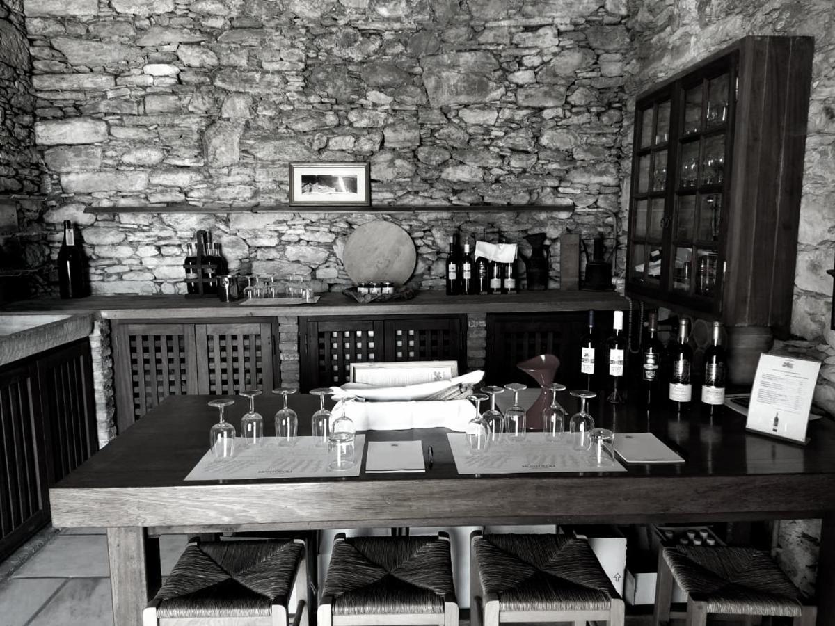 Villa Montofoli Wine Estate