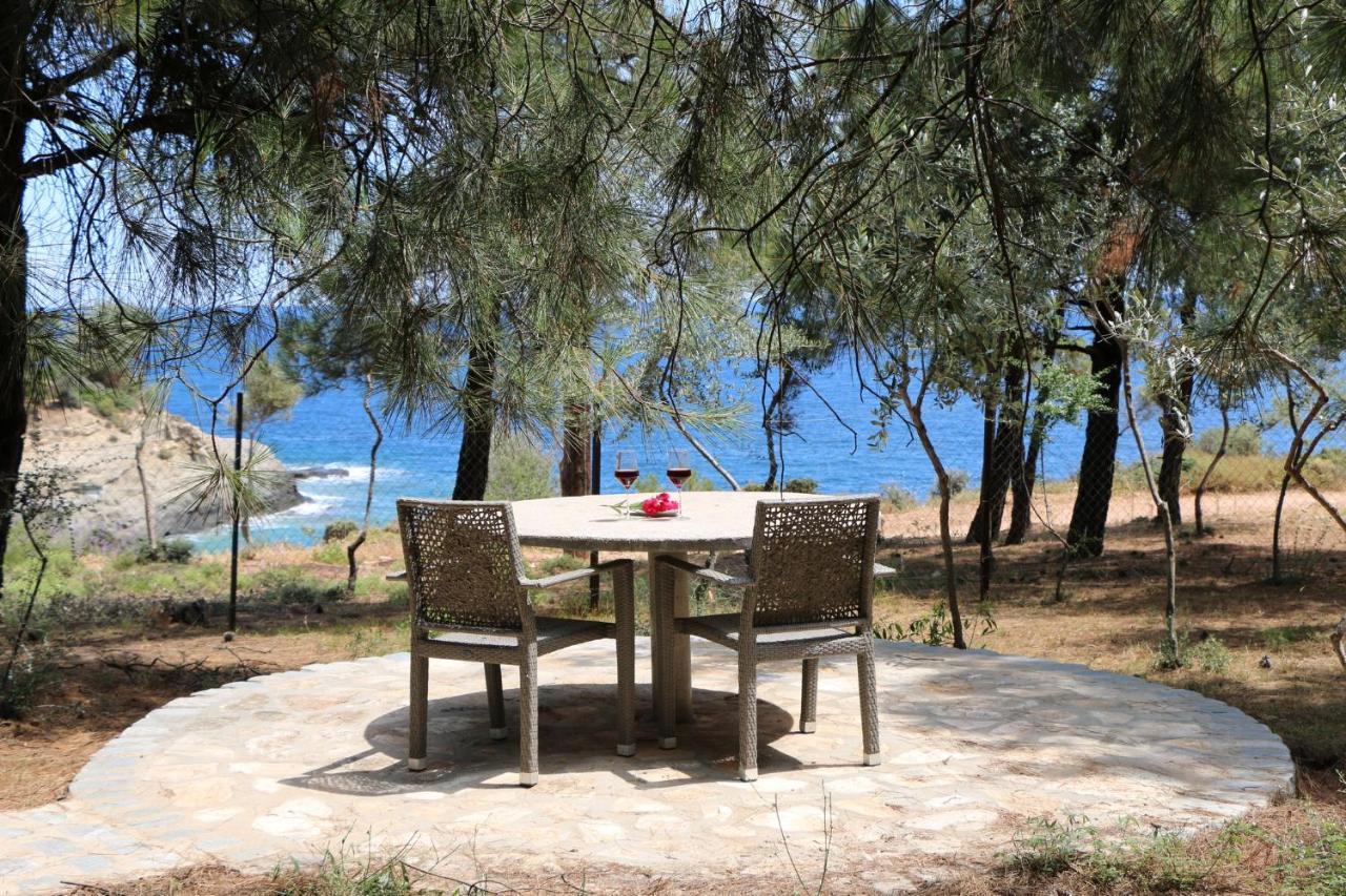 Fantasy Grand Thassos