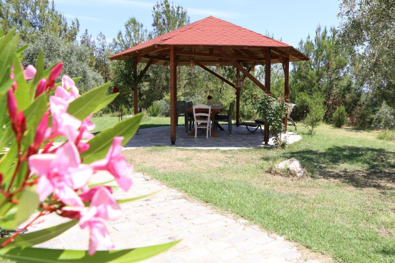 Fantasy Grand Thassos