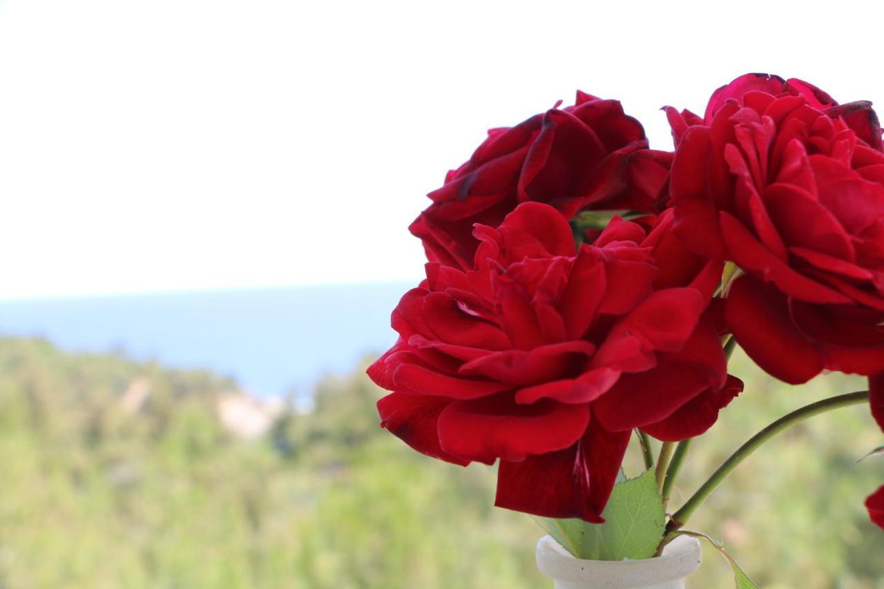 Fantasy Grand Thassos Astris