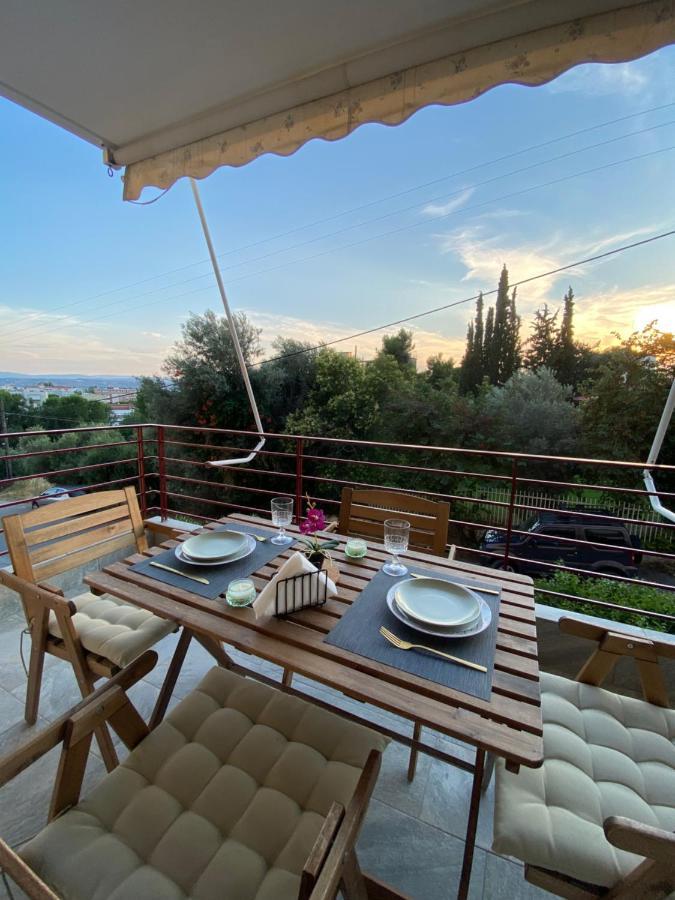 Cozy Flat Elix Lefkandi Chalkidas