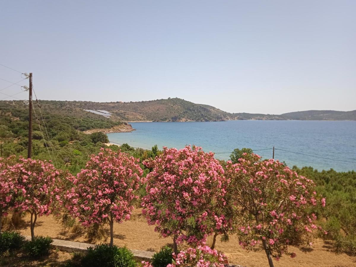 Skoutari Beach Aparthotel