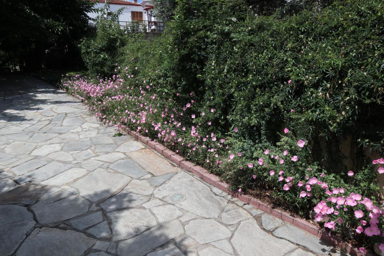 Angela House Holiday home Agios Andreas (East Macedonia)