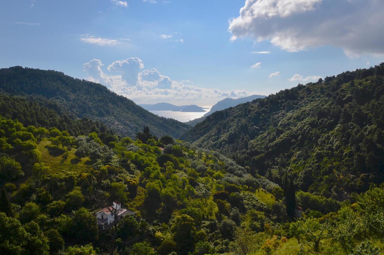 Skopelos Country * Panormos (Skopelos)