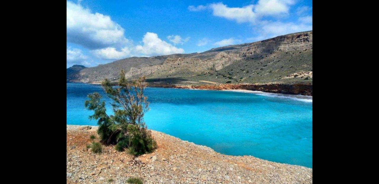 Ocean Island Angelina Achlia