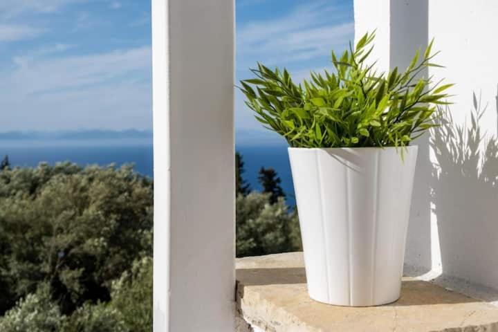 Sea View Apartment