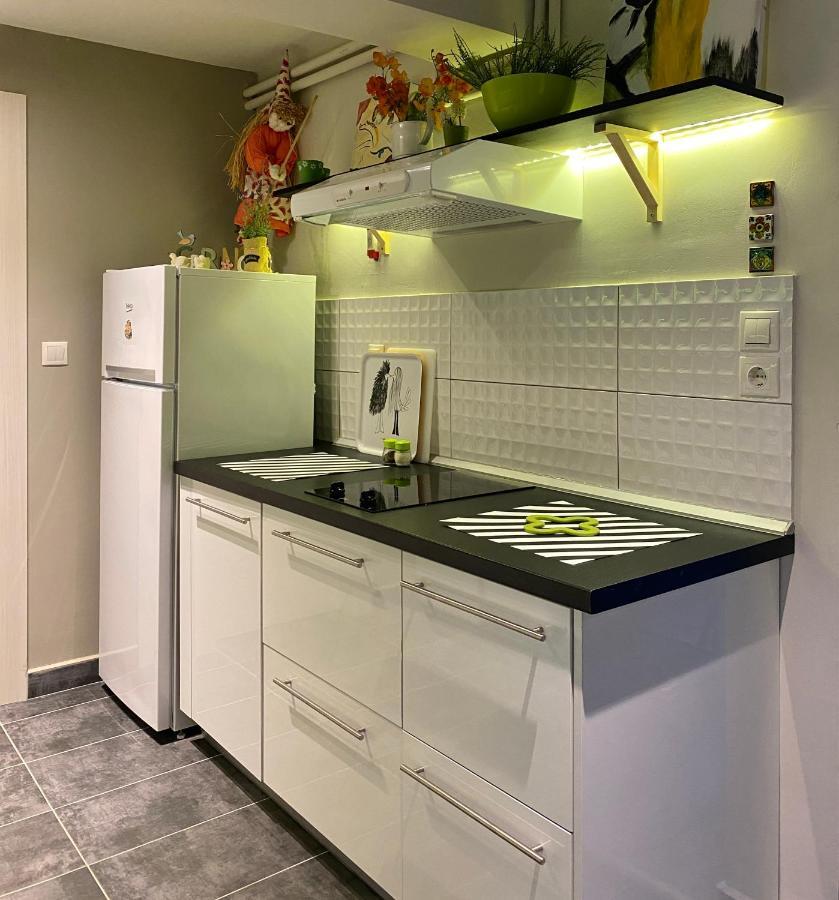 Paneon Apartment